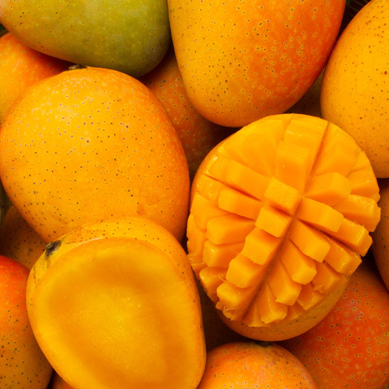 MANGO PERFUMES