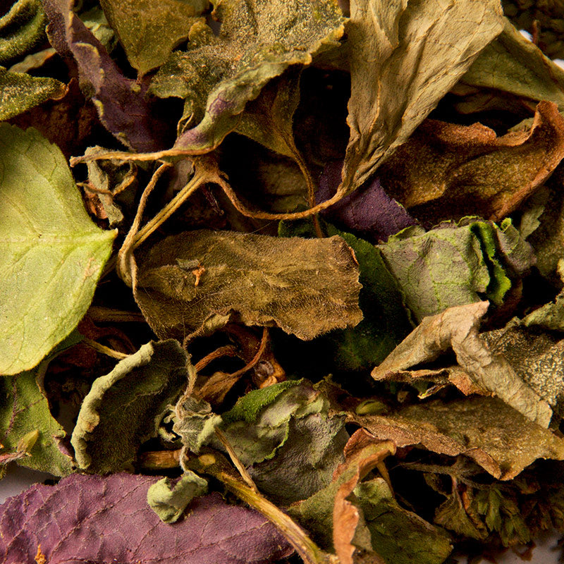 PATCHOULI PERFUMES