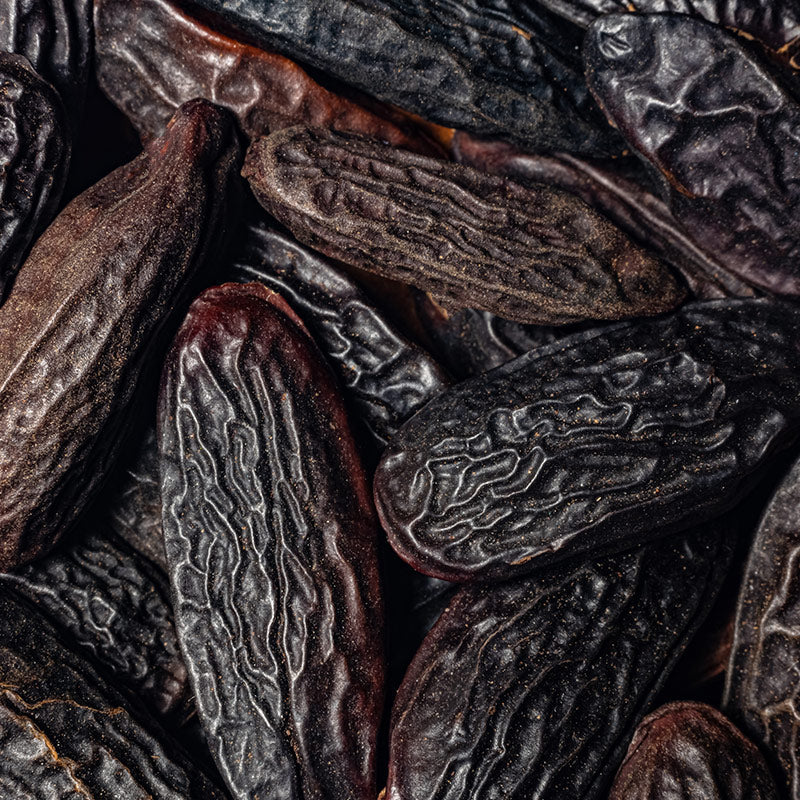 TONKA BEAN & CUMARIN PERFUMES