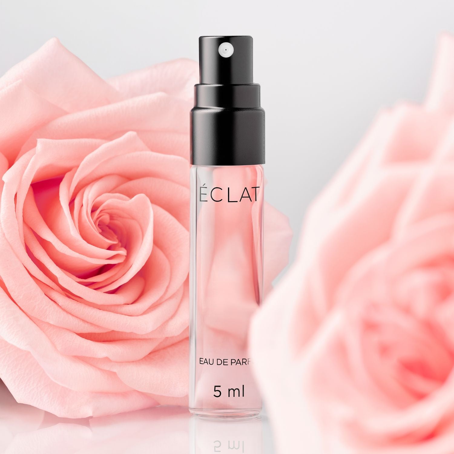 10 OUT OF 10 – Spring Edition