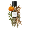 ÉCLAT 004 RAR - Chypre Marigold
