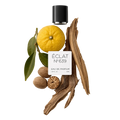 ÉCLAT 639 - Citrus Sandalwood