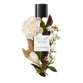 ÉCLAT 232 RAR - Dark Woods & Jasmine