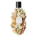 ÉCLAT 354 - Floral Ginger