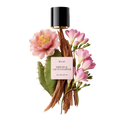 ÉCLAT Freesia & Cactus Flower