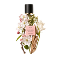 ÉCLAT Fruity Apple Blossom RAR
